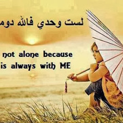 Abdelghany 220