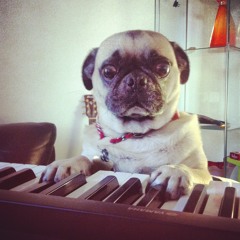 Cute Is What We aim For