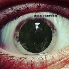 AcidCaravan