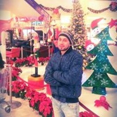 Hani Aly