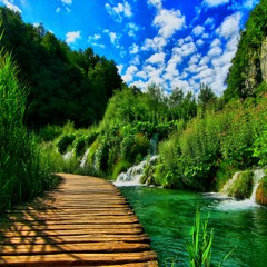 new trips