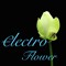 electro flower