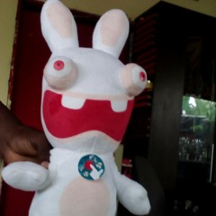 lapin cretin