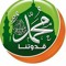 ماهر ابودنيا