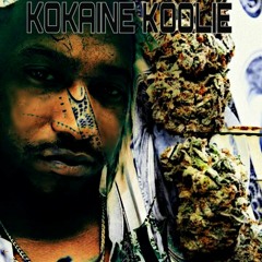 Kokaine Koolie