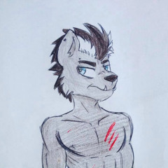 VEX C