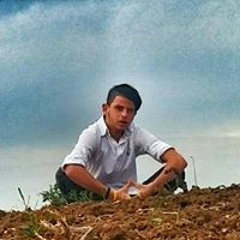 מנחם מענדל הלוי