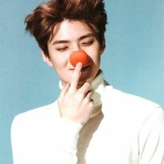 sehungago