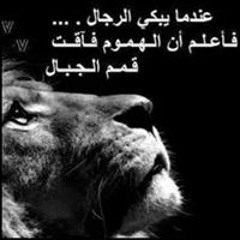 Ali Shaker