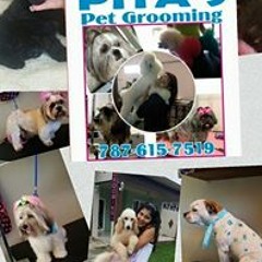 Tayshin Ramos Robles