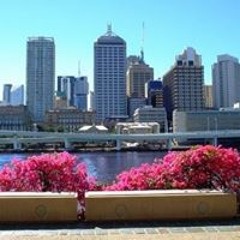 Nhac Hoa
