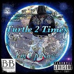 Turtle 2 Times