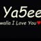 مهند الدنقلاوي