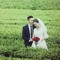 Tiến Hihii's 3