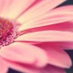 Mohabbat - Amaal Malik 128 Kbps.mp3