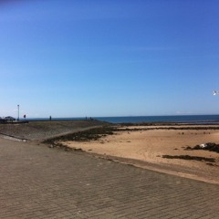 Just Another Random Beartrap (demo)