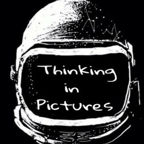 thinking in pictures band’s avatar