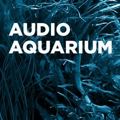Audio Aquarium Music
