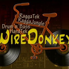 DJ WireDonkey
