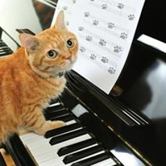 My Music