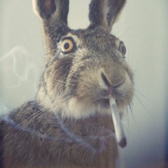 Ömer Lütfi Demirel