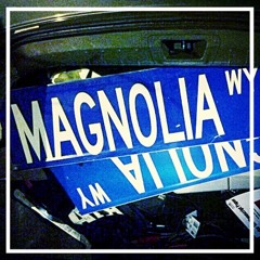 Magnolia