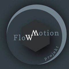 flowmotion projekt
