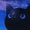 Kuro Neko
