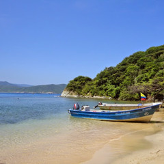 Vanessa Urrea Victoria