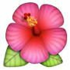 user208710710