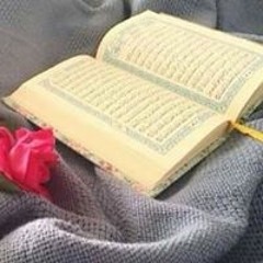 روضه الحليفي