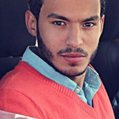 Mahmoud L. Absawy