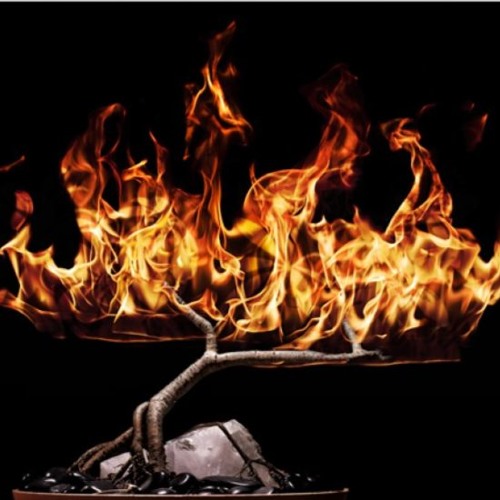 Girls like you  Jasmine Sullivan & H.E. R featuring  Alias Unknown???