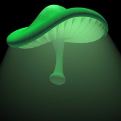NEBULARIS