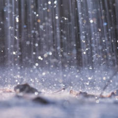 snowflakes4 rain