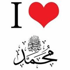 shaimaa shams