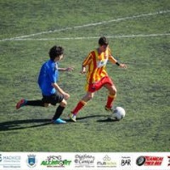 Vakiski Martins