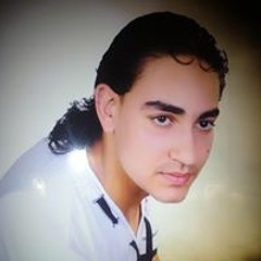 السيد شوقى