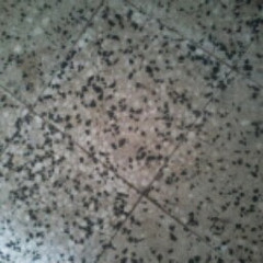 ‫محمد احمد‬‎