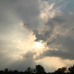 Life Hymns