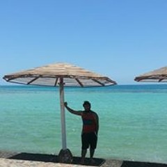 احمد البيلي