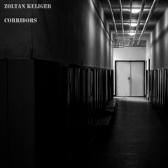 Zoltán Zsoltán Keliger