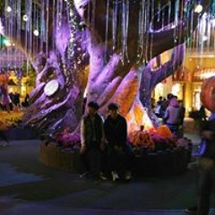 윤동규