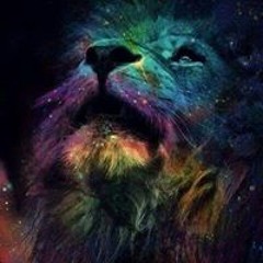 Edmar Chamaca Castro