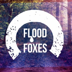 Flood Foxes