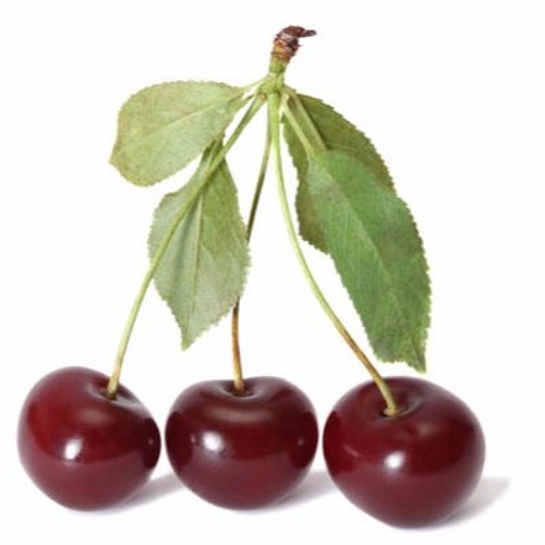 Изделия с вишней. Вишня булатниковская. Черешня. Вишня. Вишни 1.