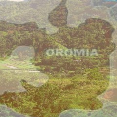 Oromiya Koo Lalistuu
