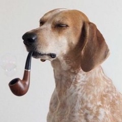 Petesurpreme