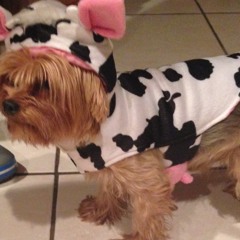 Alexa Victoria Baran