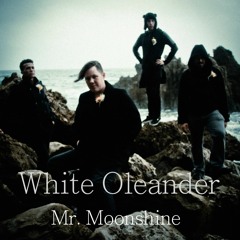 Mr. Moonshine Music